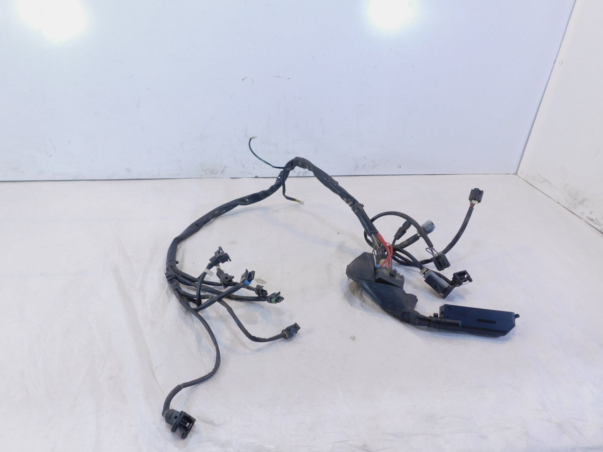Harley Davidson Electra Glide Ultra Classic EFI Fuel Injection Wiring Harness - C3 Cycle