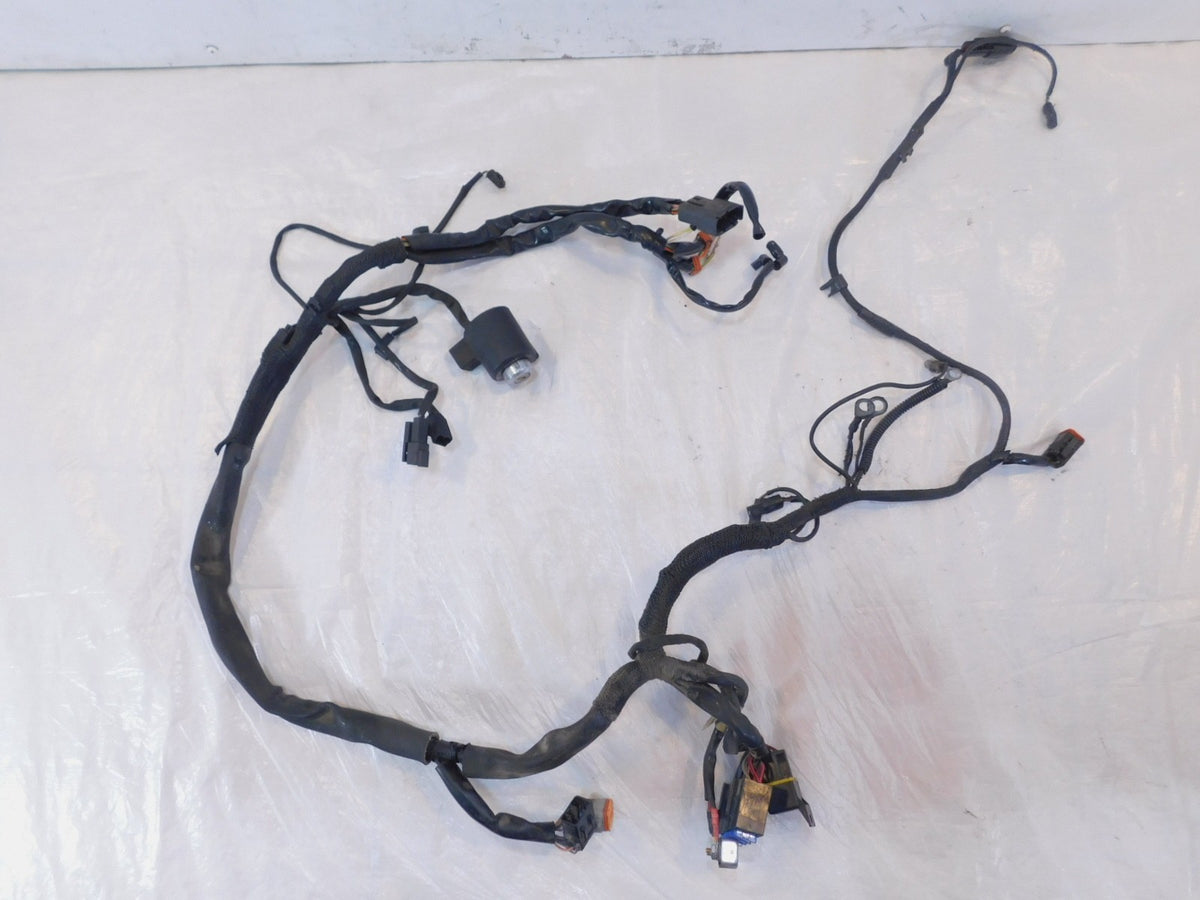 1999-2003 Harley Davidson EVO Sportster 883 1200 Main Wiring Turn Signal Harness - C3 Cycle