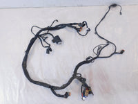 1999-2003 Harley Davidson EVO Sportster 883 1200 Main Wiring Turn Signal Harness - C3 Cycle