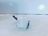 2017-2020 BMW G310 G310R G310GS Radiator Coolant Water Reservoir Expansion Tank - C3 Cycle