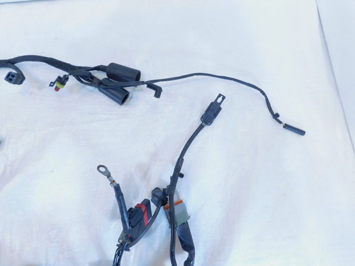 Harley Davidson Sportster 883 & 1200 Main Wiring Wire Harness Assembly 69200317