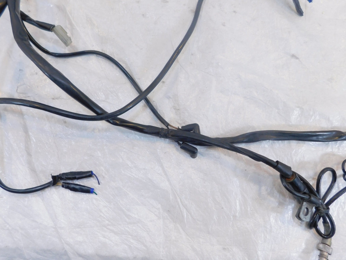 Harley Davidson Touring Road & Electra Glide Main & EFI Wiring Wire Harness Loom - C3 Cycle