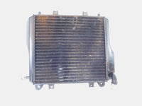 Kawasaki Ninja 1000 1000R ZX1000 Black Motor Engine Oil Cooling Cooler Radiator