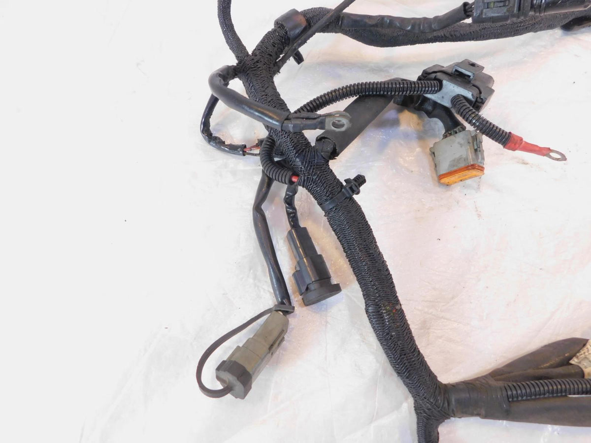 2005 Harley Davidson Sportster 883 & 1200 Wiring Wire Harness w/ Ignition Switch - C3 Cycle