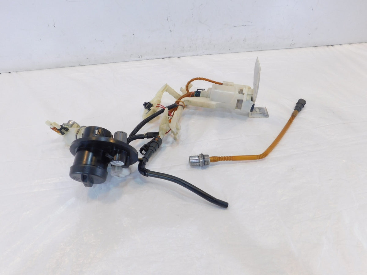 Harley Davidson FLHR Road King & Classic Fuel Gas Petrol Tank Pump & Top Plate - C3 Cycle