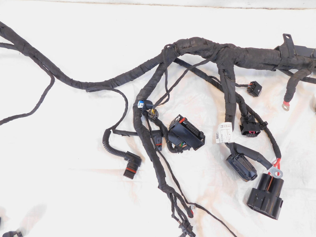 2020 2021 2022 2023 BMW F900 R F900R Non ESA Main Wire Harness Wiring Loom - C3 Cycle