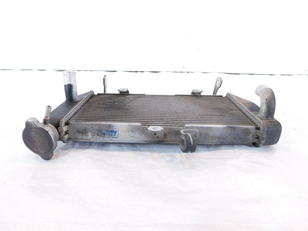 2015-2022 Yamaha YZFR3 YZF R3 Front Engine Motor Water Cooling Coolant Radiator - C3 Cycle
