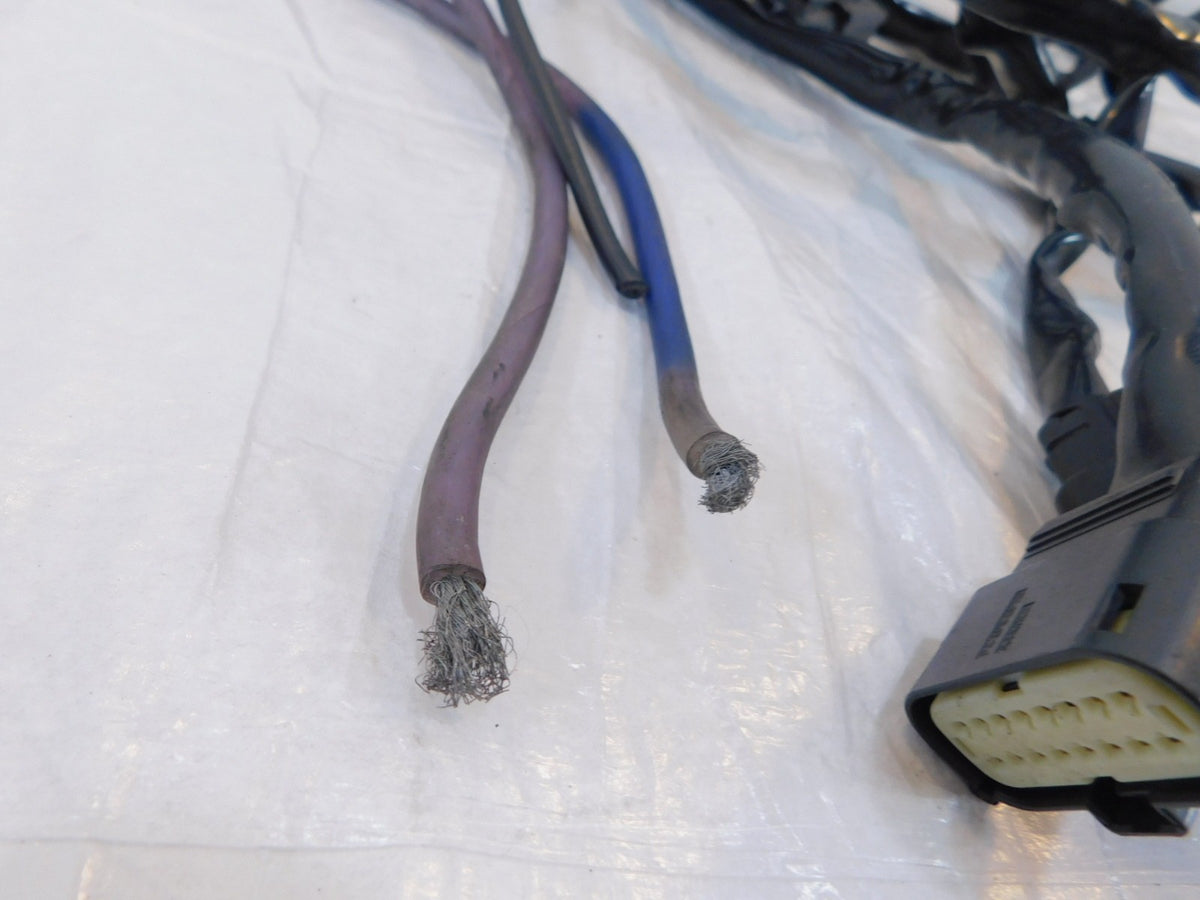 2009 Harley Davidson CVO FLTRSE FLTRSE3 Road Glide Main Wire Wiring Harness Loom - C3 Cycle