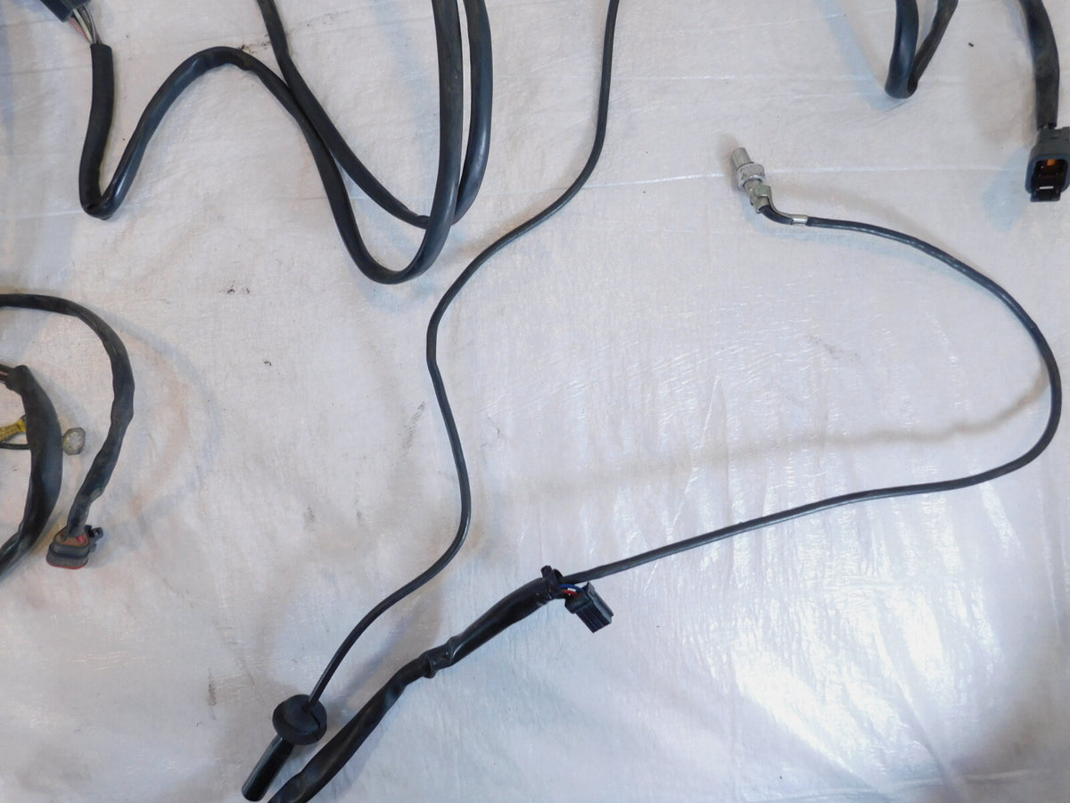 00 Harley Electra Glide Classic & Road Glide Main Electrical Wire Wiring Harness