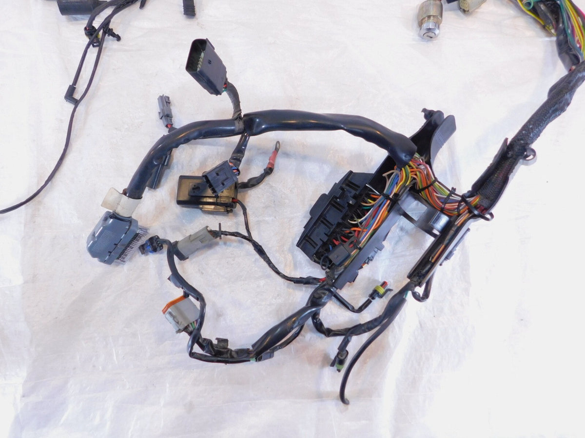 2009 09 Harley Davidson Sportster 883 & 1200 Main Wire Wiring Harness - No Key
