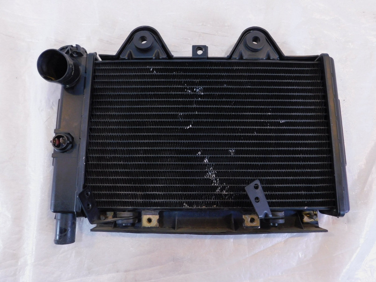 Triumph Daytona Sprint Trophy 900 & Tiger 885 Engine Motor Cooling Radiator - C3 Cycle