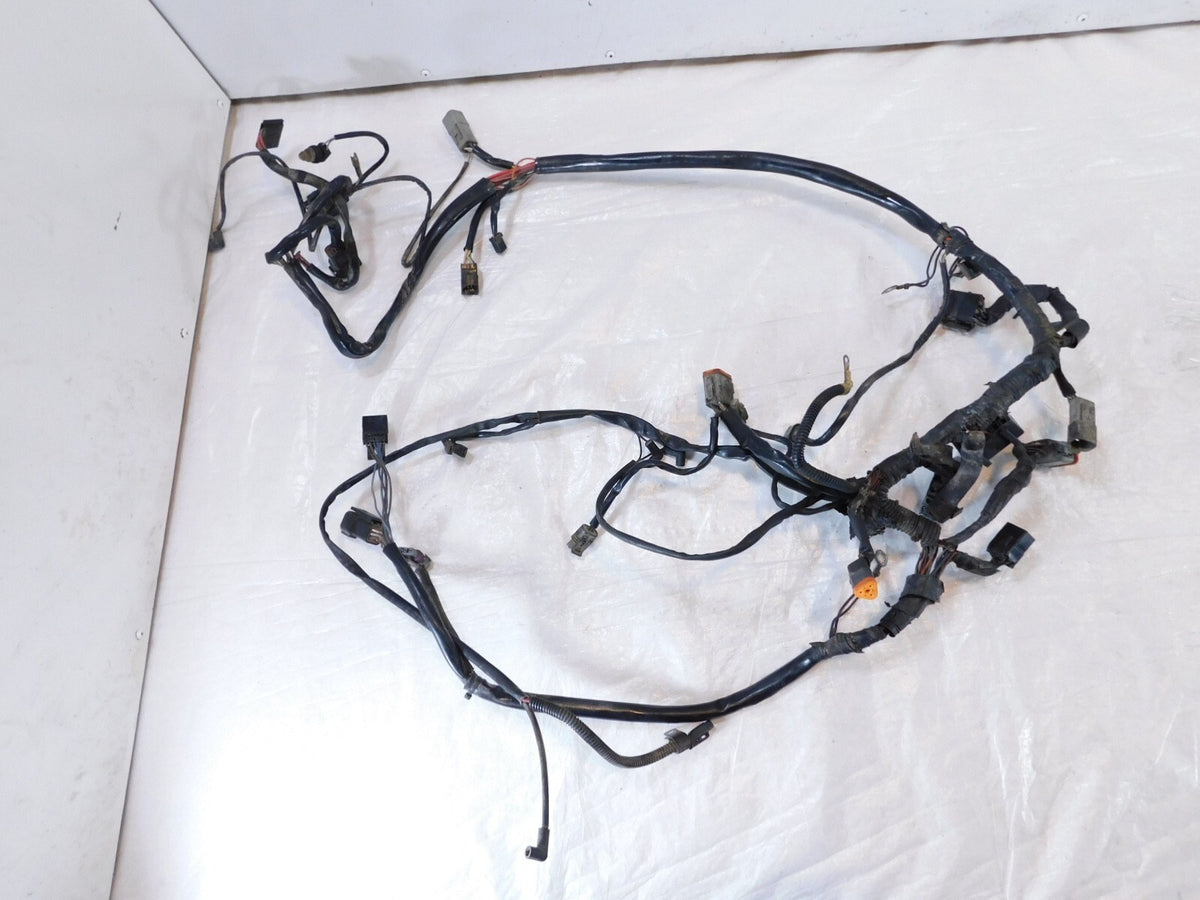 2001 & 2002 Harley Davidson Softail Fat Boy & Deuce Main Wiring Wire Harness - C3 Cycle