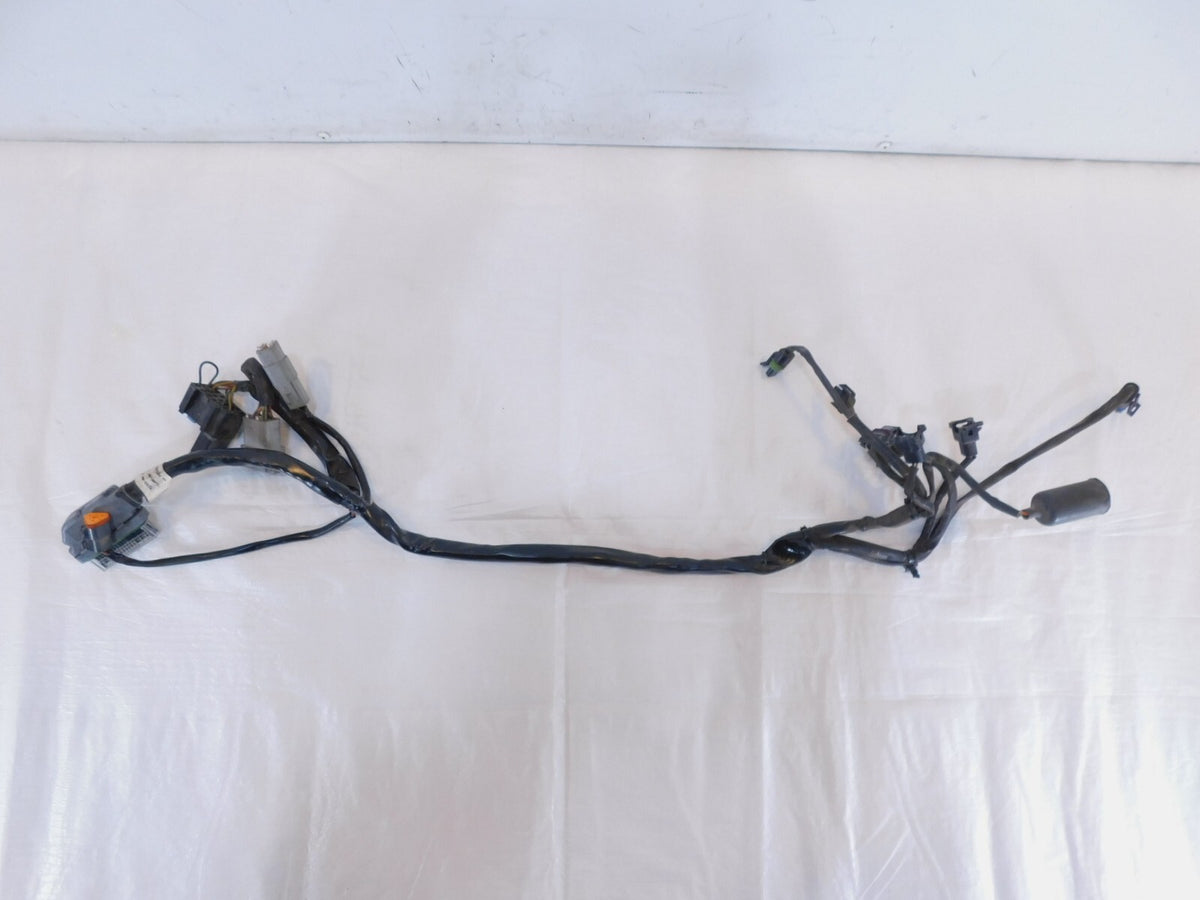 2004 2005 Harley Davidson Road King & Electra Glide EFI ECM Wire Wiring Harness - C3 Cycle