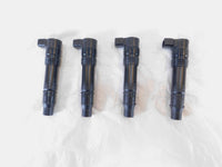 Kawasaki Concours 14 Ninja ZX10 ZX10R ZX14 & ZX14R Ignition Coil Spark Plug Caps - C3 Cycle