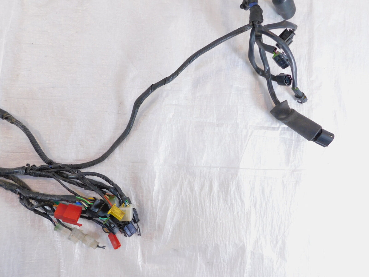Royal Enfield Continental GT & Interceptor 650 Electrical Wiring Cable Harness - C3 Cycle
