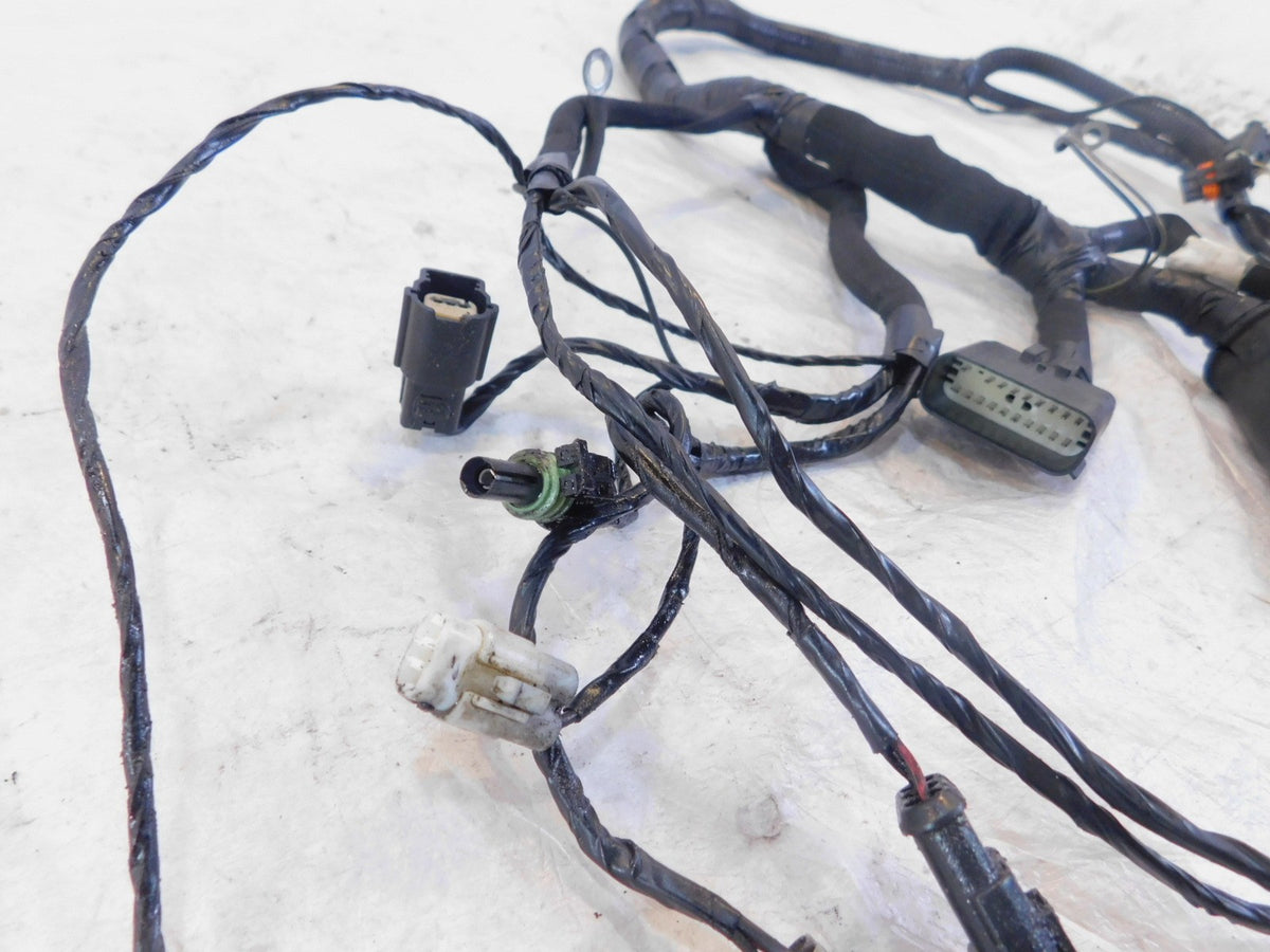 Polaris Victory Hammer Boardwalk Jackpot Kingpin Electrical Wire Wiring Harness - C3 Cycle