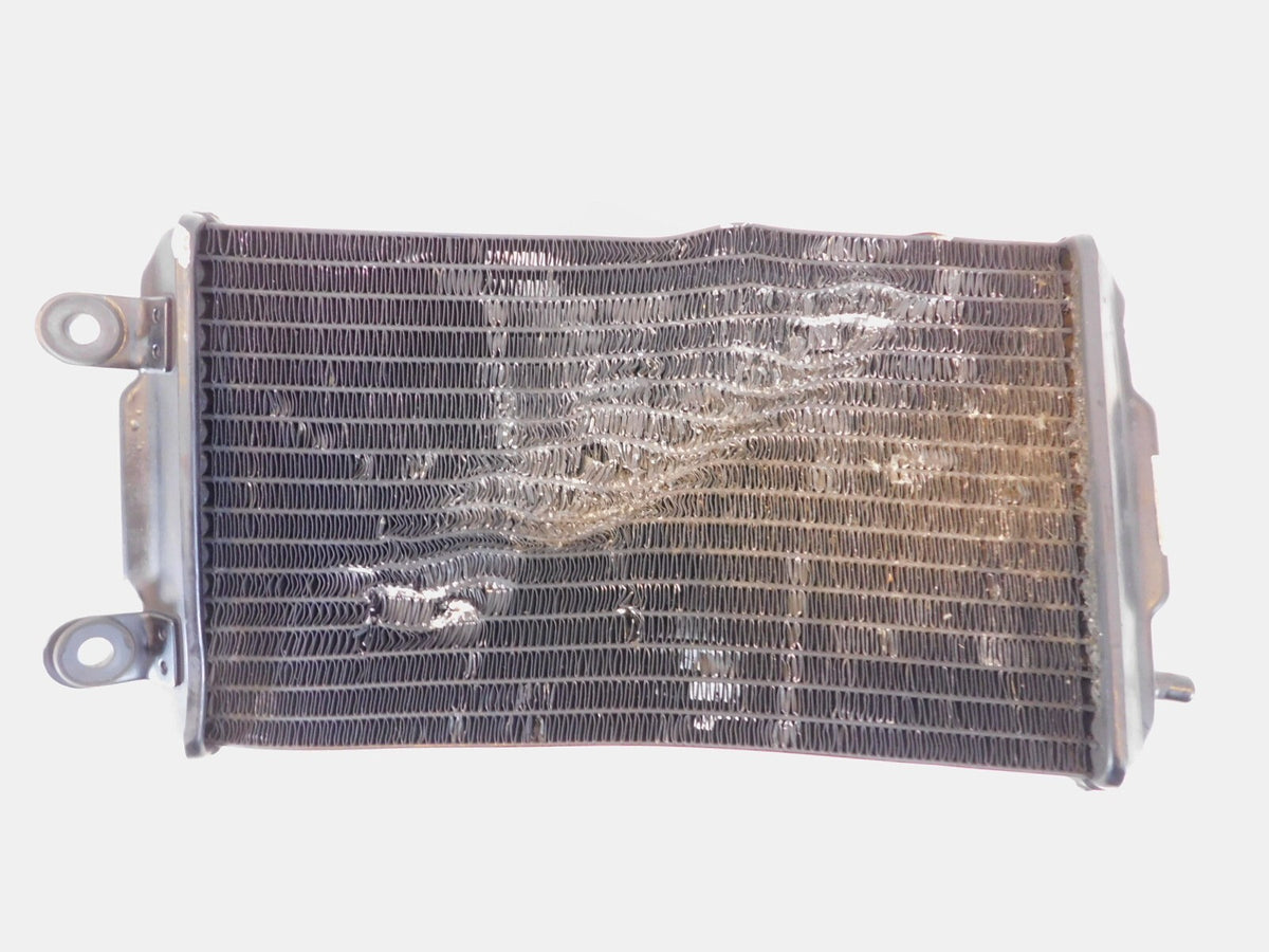2015-2020 Harley Davidson Street XG500 500 & XG750 750 Engine Coolant Radiator - C3 Cycle