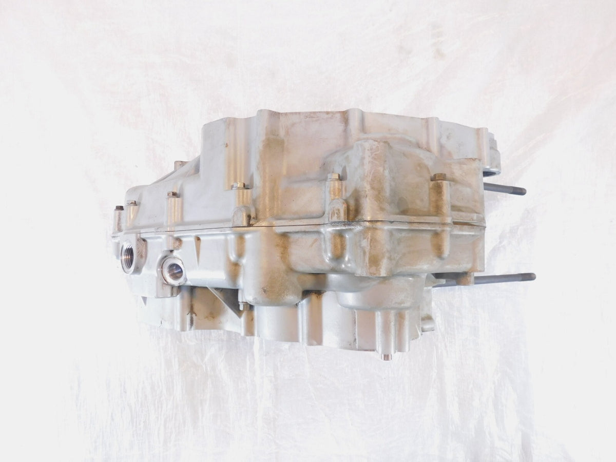 BMW F650 F650GS Dakar & Scarver Silver Engine Motor Block Housing Crankcase Case - C3 Cycle