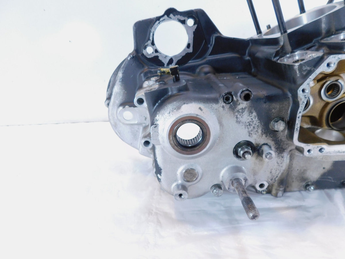 Harley Davidson Sportster 883 1100 & 1200 Silver Crankcase Engine Motor Block