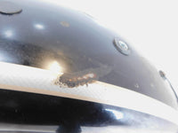 1999-2003 Harley Sportster 883 & 1200 Anniversary Rear Wheel Cover Fender - C3 Cycle