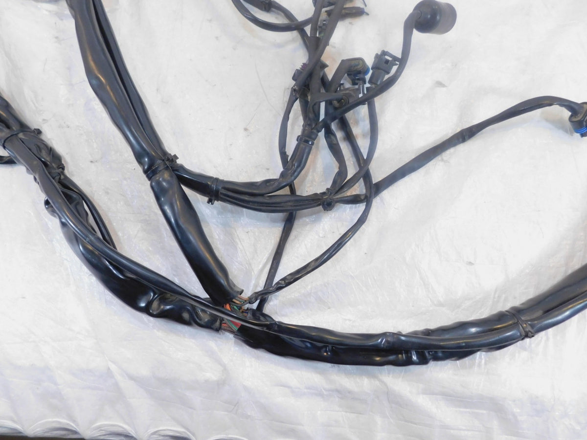 Harley Davidson Touring Road & Electra Glide Main & EFI Wiring Wire Harness Loom - C3 Cycle