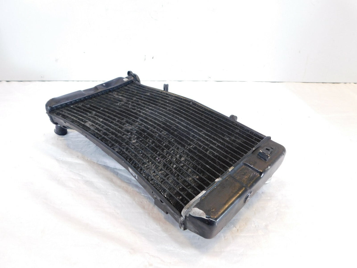 2002-2009 & 2012 Suzuki V-Strom DL1000 1000 Radiator Coolant Cooling - No Leaks - C3 Cycle