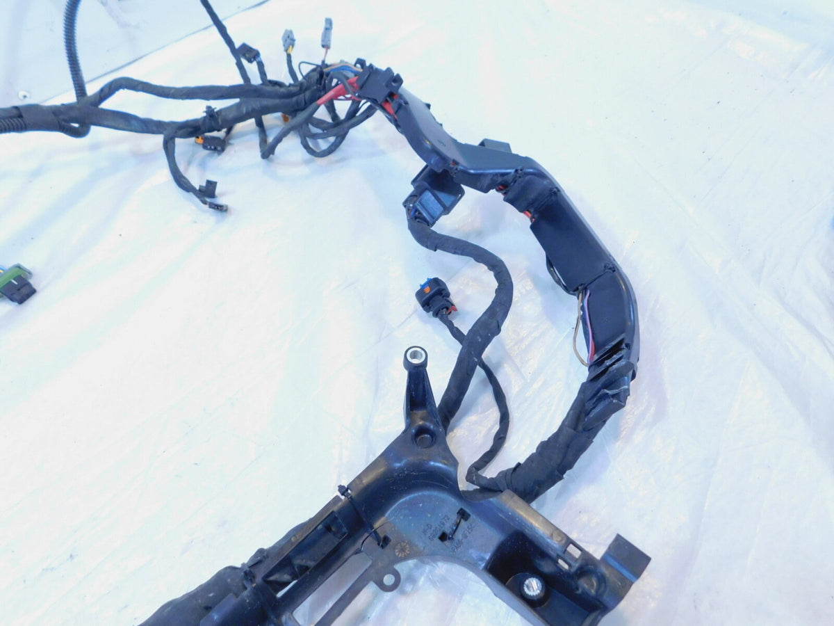 21-2023 Harley Davidson Pan America 1250S RA1250S Main Wire Wiring Harness Loom - C3 Cycle