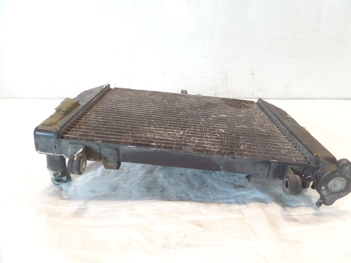 1999-2002 Yamaha YZFR6 R6 Engine Motor Cooling Radiator 5EB-12461-00-00 - C3 Cycle