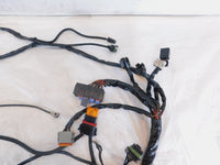 2004 Harley Davidson Touring Road & Electra Glide Main Wiring Wire Harness Loom - C3 Cycle