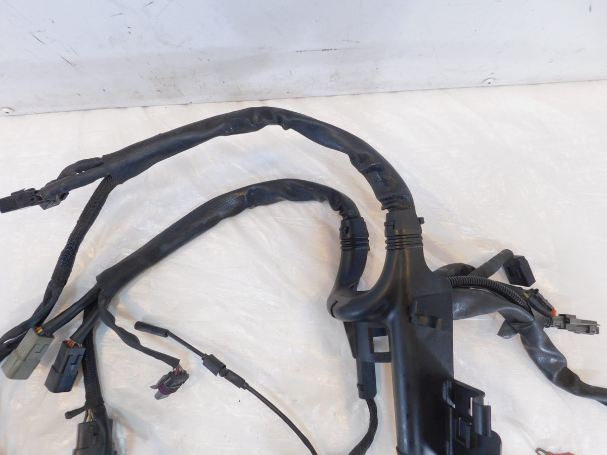 2006 06 Harley Davidson Sportster 883 & 1200 Main Wire Wiring Harness - no Key - C3 Cycle