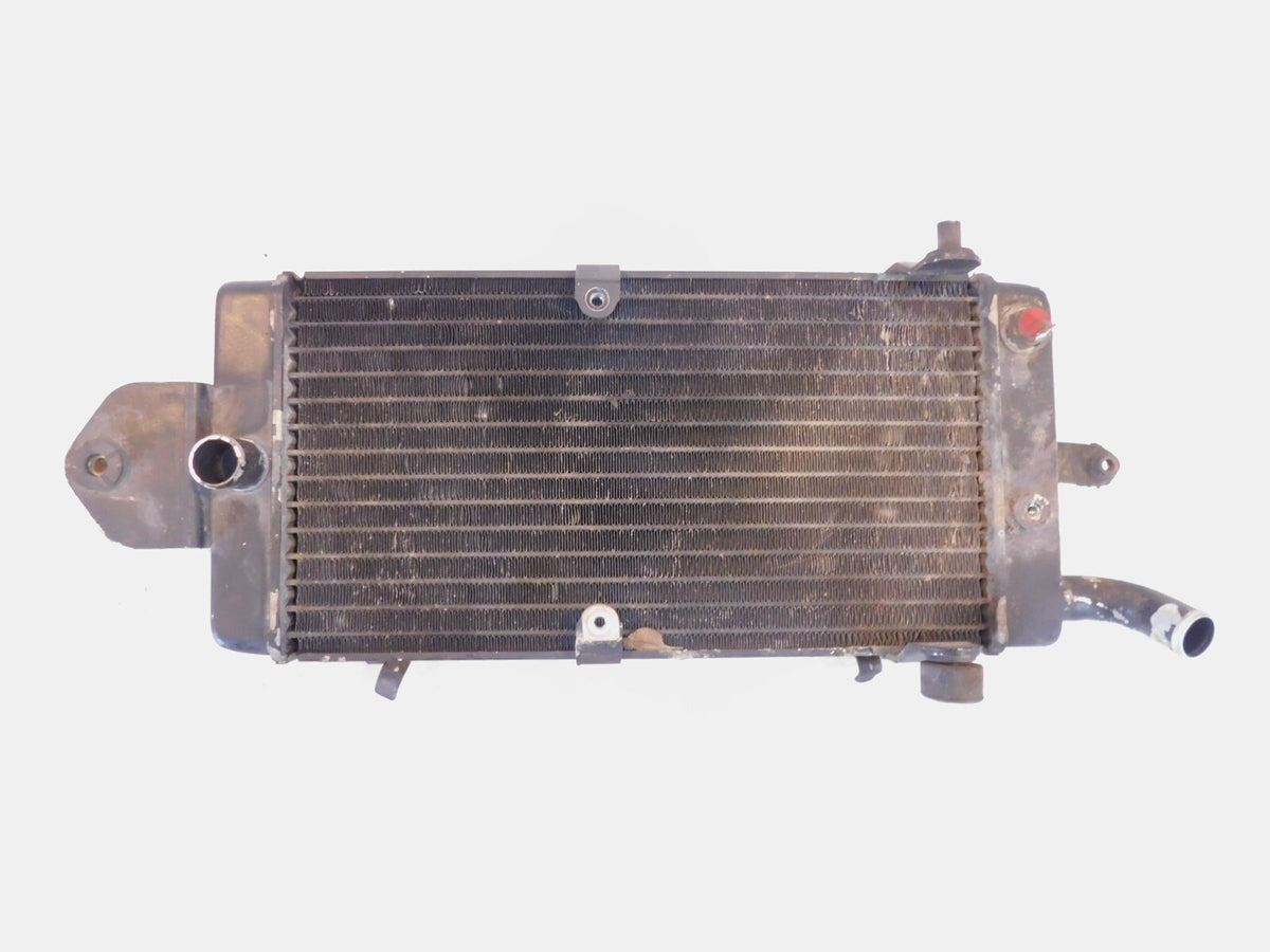 Honda VT1100 VT1100C Shadow 1100 ACE Spirit Sabre Front Engine Coolant Radiator
