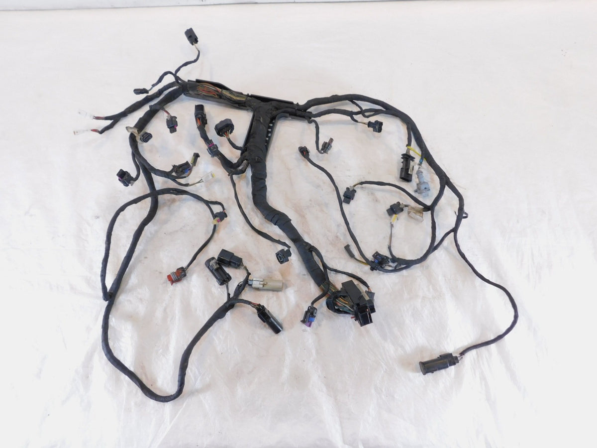 Harley Davidson Pan America RA1250 1250 1250S Engine Wire Wiring Harness Loom - C3 Cycle