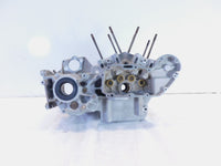 1998 & 1999 Harley Davidson Sportster 883 & 1200 Silver Engine Block Crankcases - C3 Cycle