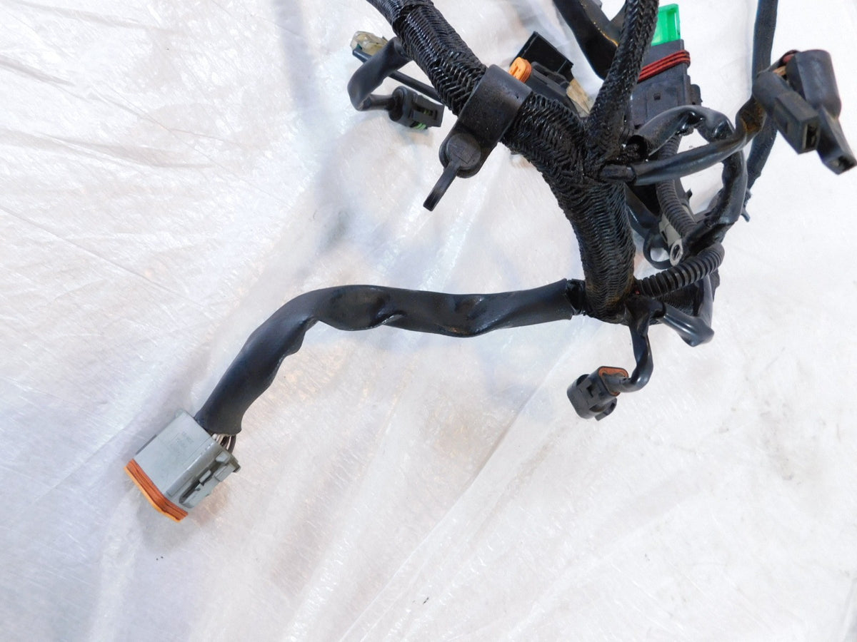2005 Harley Sportster 883 & 1200 Wiring Wire Harness w/ Ignition Switch -No Key - C3 Cycle