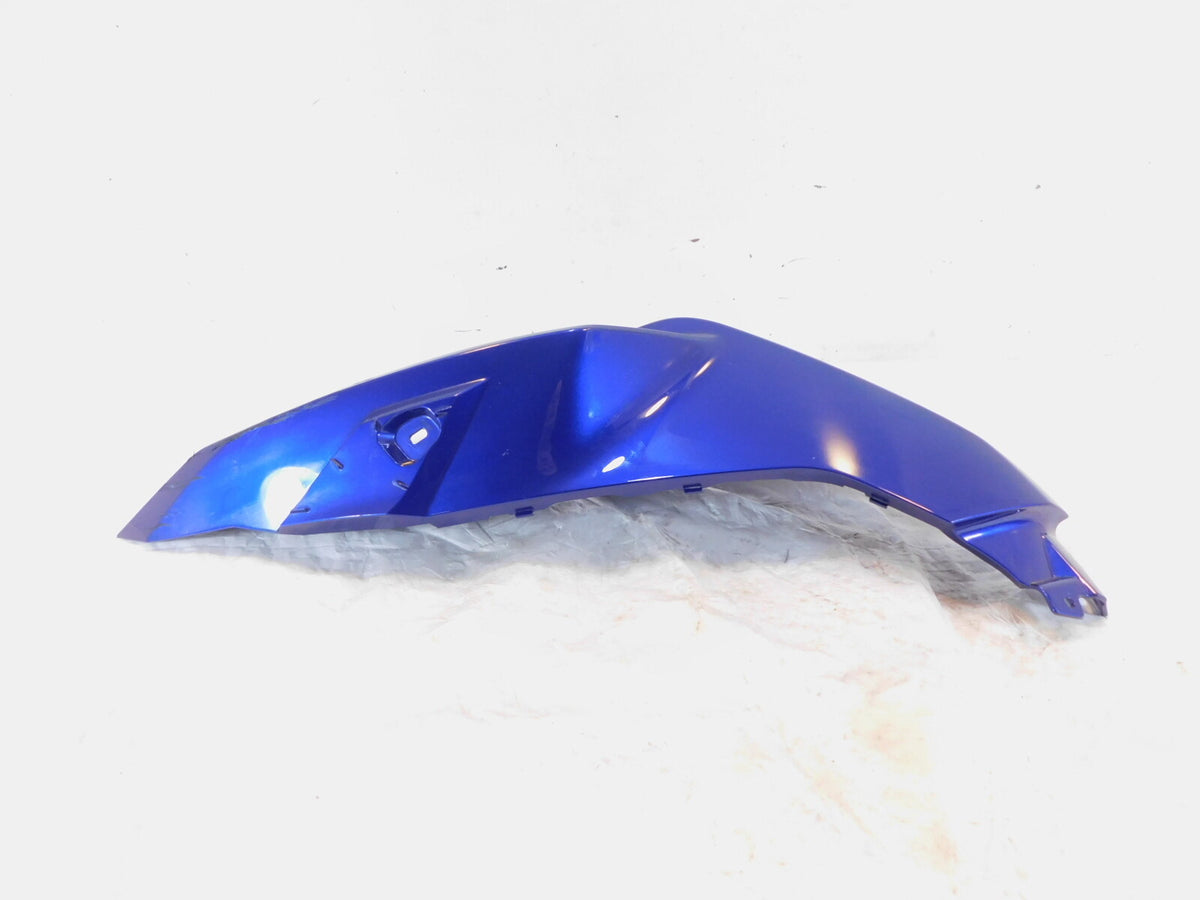 2020-2023 BMW F900R F900 Blue Left Lateral Side Trim Panel Cover Fairing - C3 Cycle