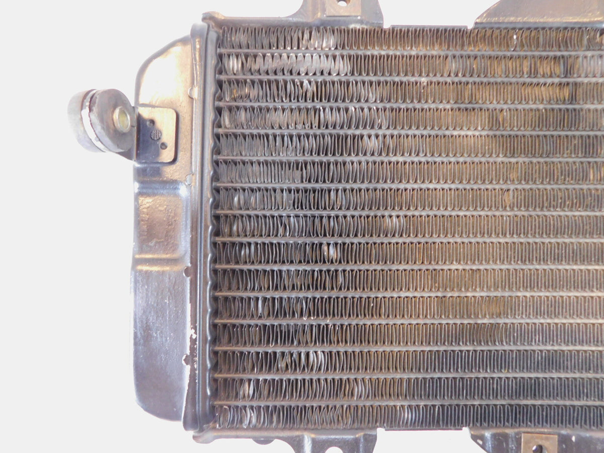 1989-1999 Yamaha FZR600R FZR600 Front Engine Cooling Coolant Radiator - C3 Cycle