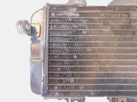 1989-1999 Yamaha FZR600R FZR600 Front Engine Cooling Coolant Radiator - C3 Cycle