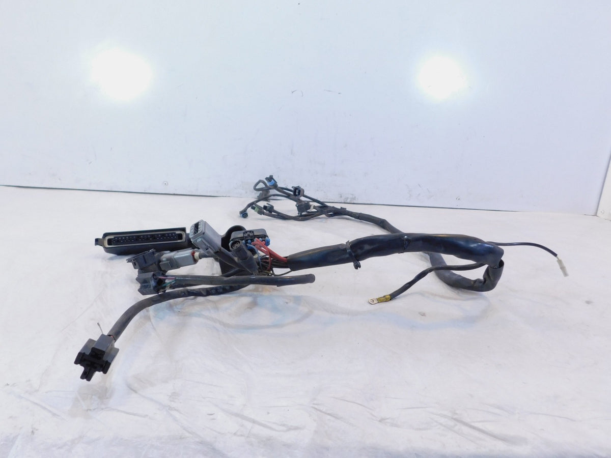 Harley Davidson Electra Glide Ultra Classic EFI Fuel Injection Wiring Harness - C3 Cycle
