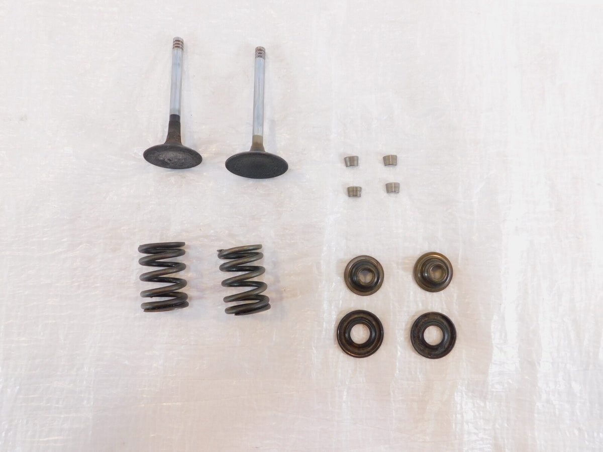 1979-1984 BMW Airhead R100CS R100RS R100/T Intake/Exhaust Valves Seats & Springs - C3 Cycle