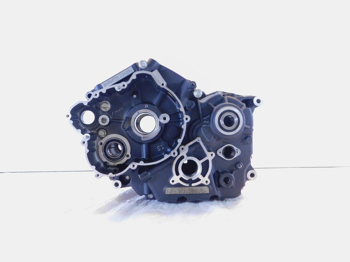 2015-2020 Harley Davidson Street 500 & 750 Engine Motor Crankcase Crank Cases - C3 Cycle