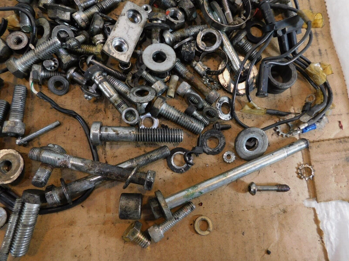 1992 Harley Davidson Sportster XL883 Hugger Nuts Bolts & Brackets Parts Box Lot - C3 Cycle