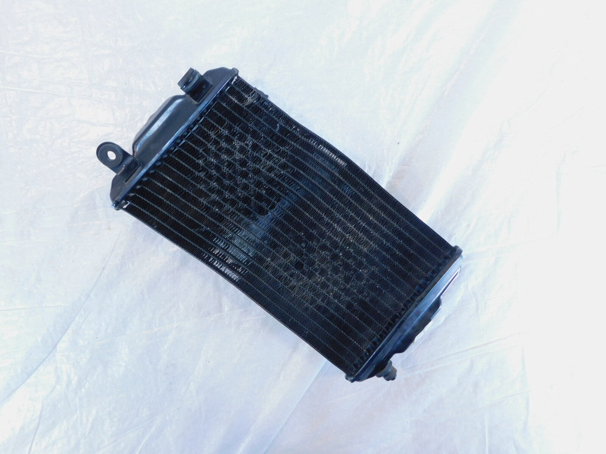 2015-2020 Harley Davidson Street XG500 500 & XG750 750 Engine Coolant Radiator - C3 Cycle