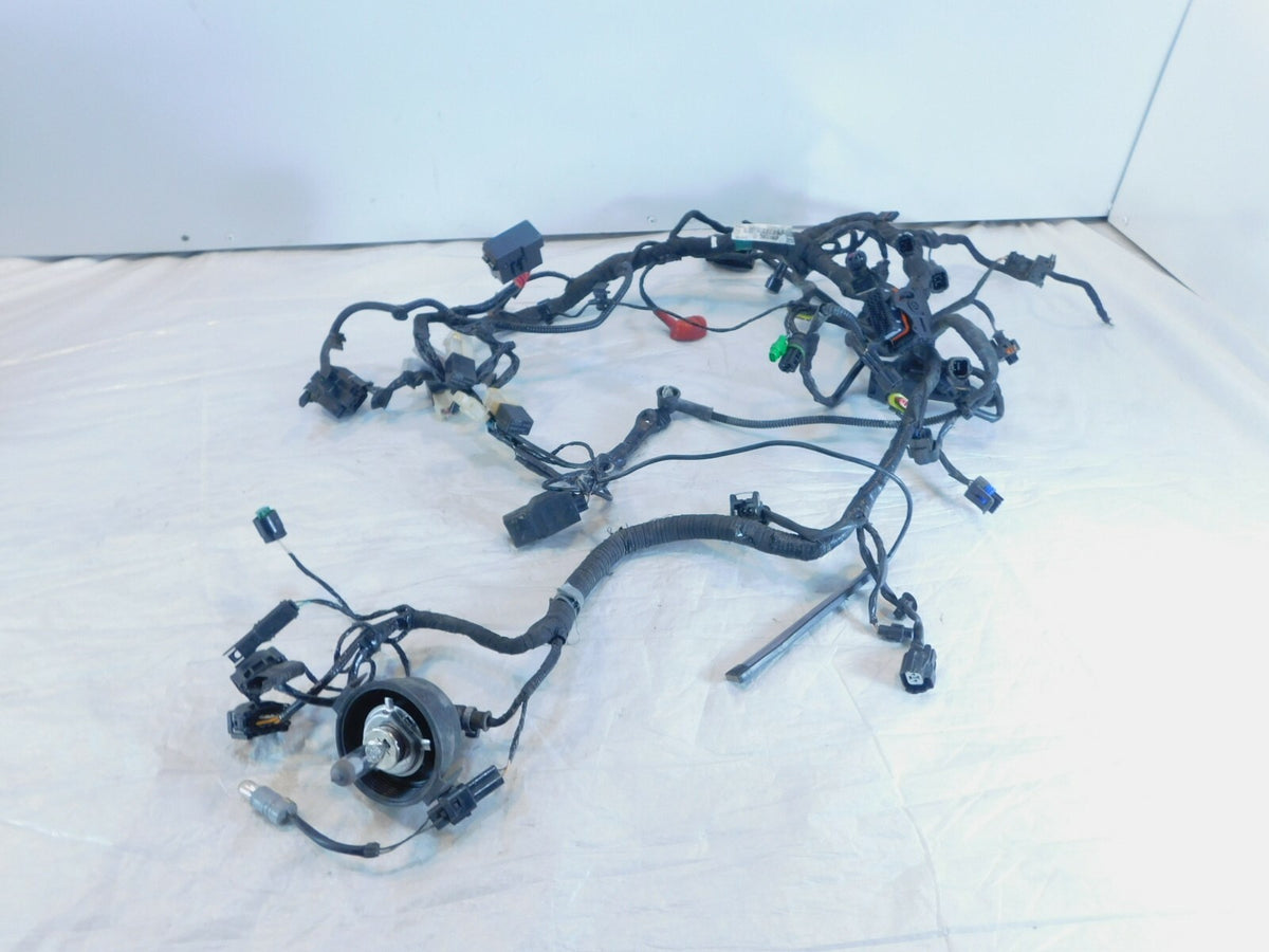 2017-2020 17-20 BMW G310R G310 Main Electrical Wire Harness Wiring Loom - C3 Cycle