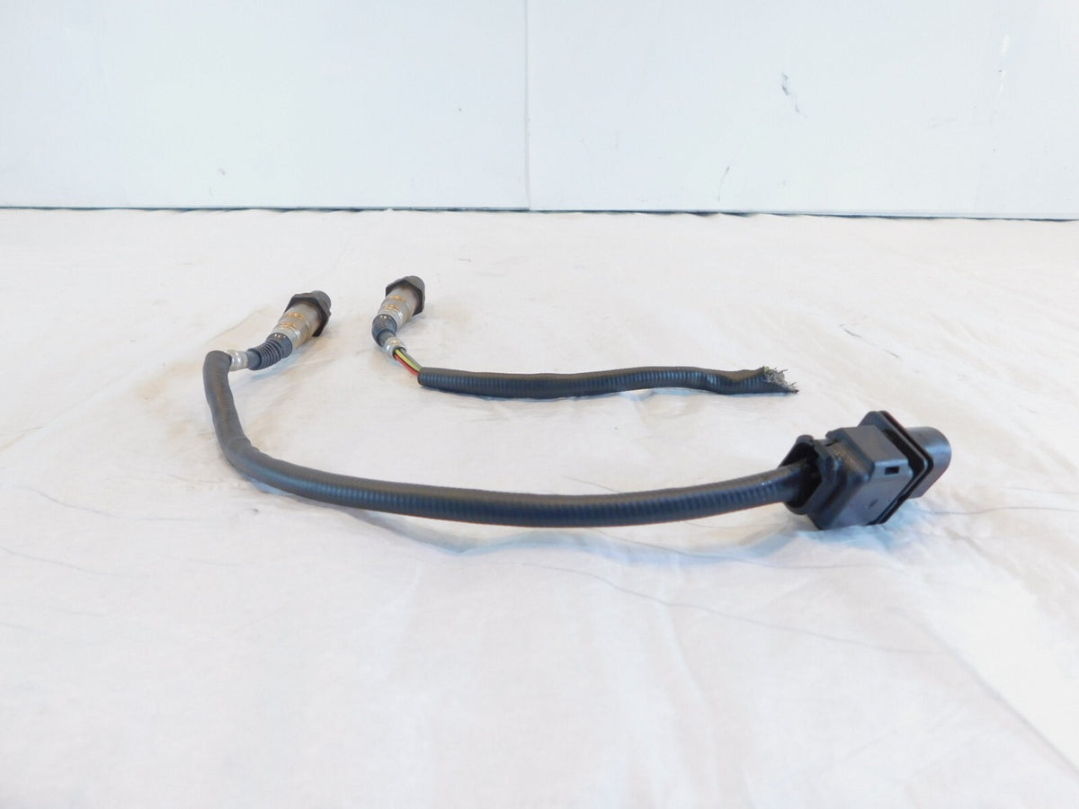 Harley Davidson Road King Street & Electra Glide Exhaust Pipe O2 Oxygen Sensors - C3 Cycle