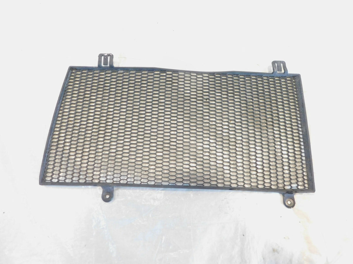 2006-2012 BMW F800GS F800 Engine Cooling Radiator Protector Cover Grill Screen - C3 Cycle