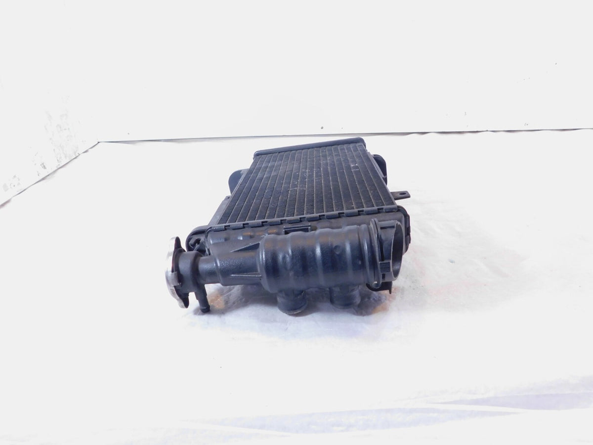 BMW F800 F800R F800S F800ST F700GS F650GS Engine Motor Water Cooling Radiator - C3 Cycle
