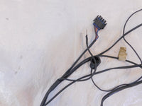 2002-2003 Indian Gilroy Scout Spirit Engine Wire Wiring Harness Ignition Module - C3 Cycle