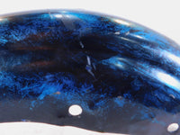 1994 1995 & 1996 Harley Davidson Sportster 883 & 1200 Blue Rear Wheel Fender - C3 Cycle