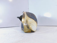 03 2003 Indian Gilroy Scout Right Side Fuel Gas Petrol Tank White- Rusty - C3 Cycle
