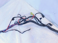 Harley Davidson Sportster S 1250 RH1250S Main Engine Wire Wiring Harness Loom
